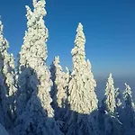 Koli Freetime Lomamökit