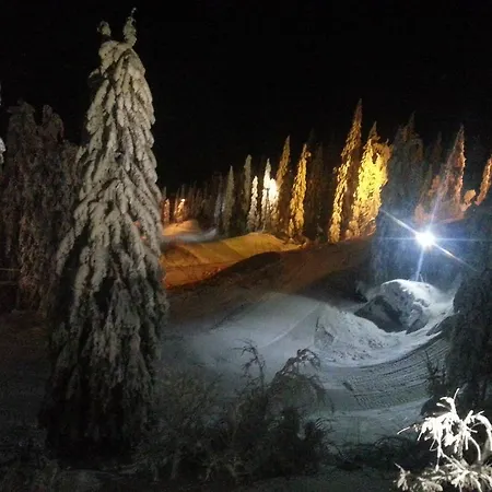 Koli Freetime * Ahmovaara