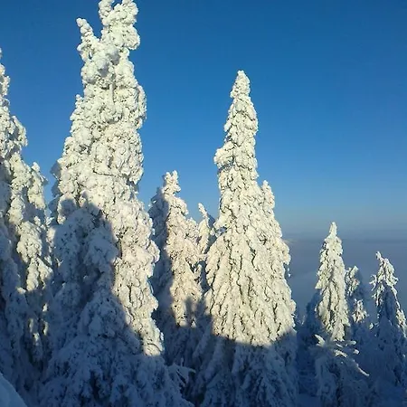 Koli Freetime Chalet