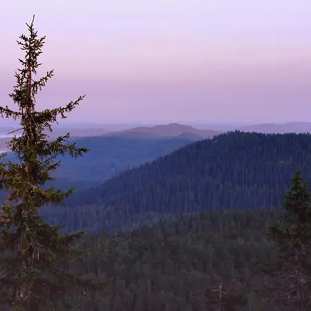 Chalet Koli Freetime