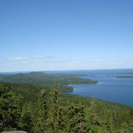 Koli Freetime * Ahmovaara
