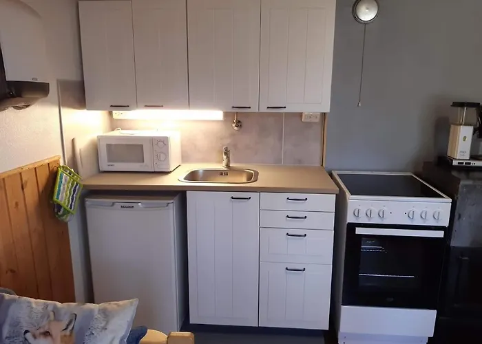 科利欢乐时光小屋酒店 * Ahmovaara