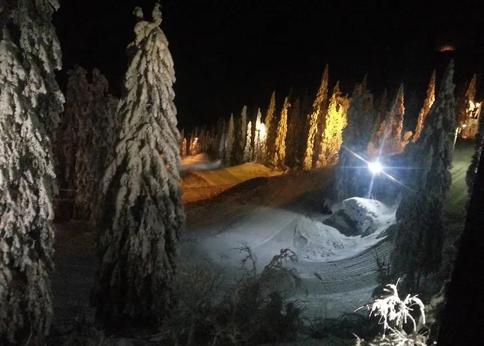 科利欢乐时光小屋酒店 * Ahmovaara