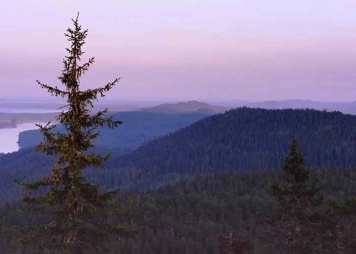 木屋 科利欢乐时光小屋酒店