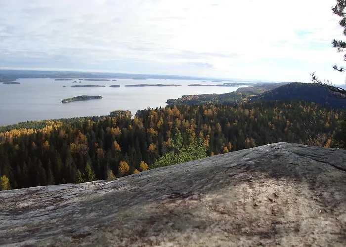 木屋 科利欢乐时光小屋酒店 *