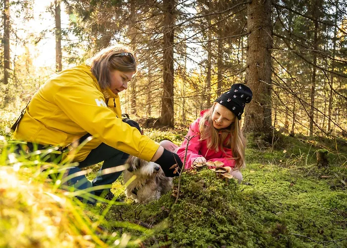 科利欢乐时光小屋酒店 *