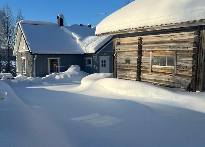 科利欢乐时光小屋酒店 木屋 *