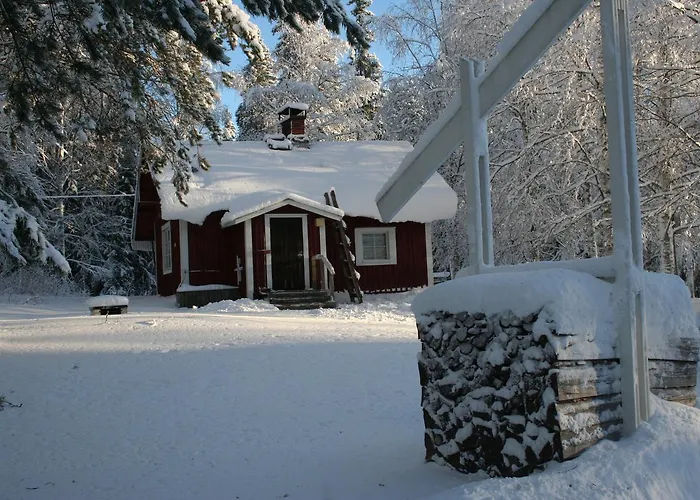 科利欢乐时光小屋酒店 *